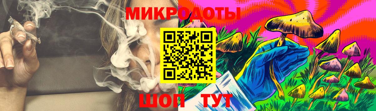 закладка  Вход с VPN  Кандалакша  Галлюциногенные грибы Psilocybe 